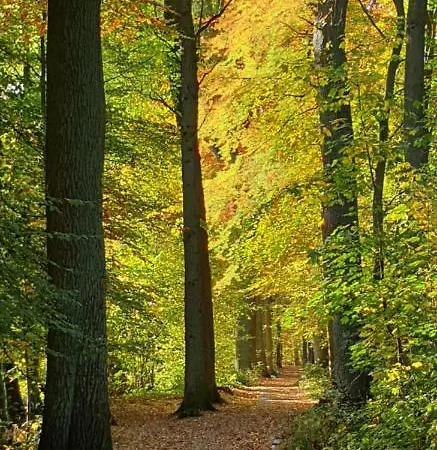 Ferienapartment Apartmán Vogelsen