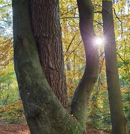 Ferienapartment Apartmán