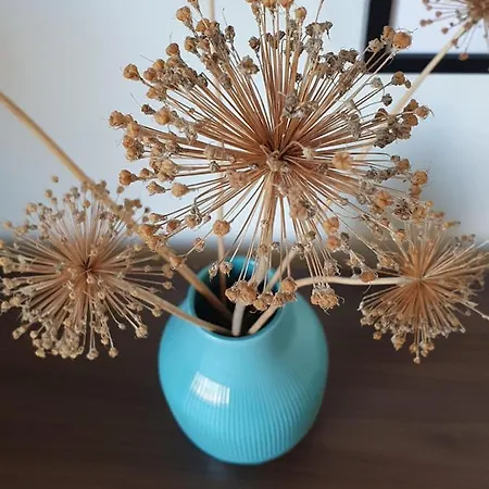 Ferienapartment *