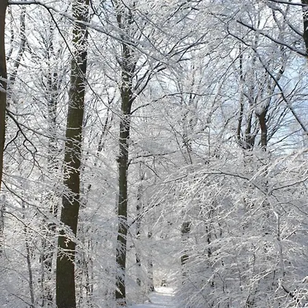 Ferienapartment Apartmán *