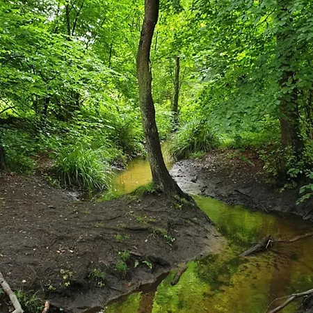 Apartmán Ferienapartment *