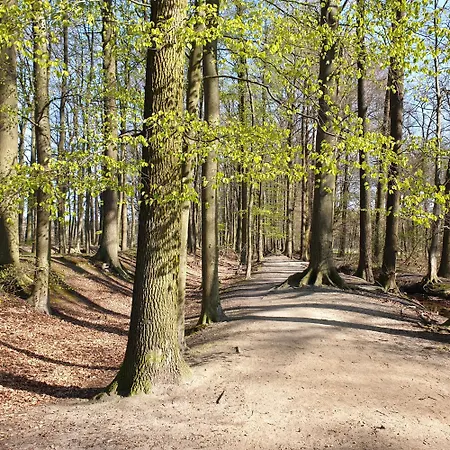 Ferienapartment Apartmán