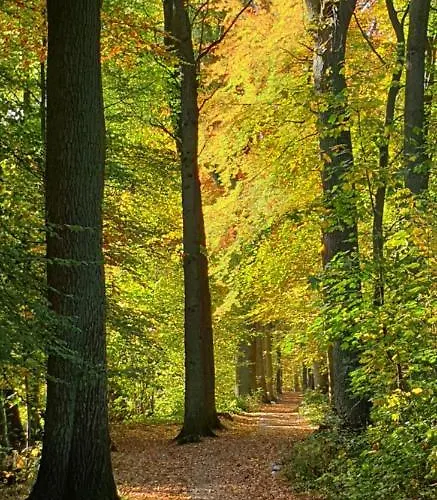 Ferienapartment Διαμέρισμα Vogelsen