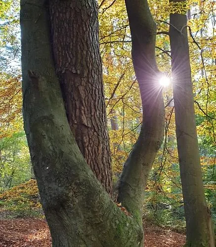 Ferienapartment Διαμέρισμα