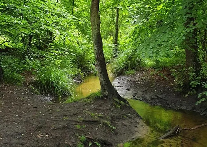 Διαμέρισμα Ferienapartment *